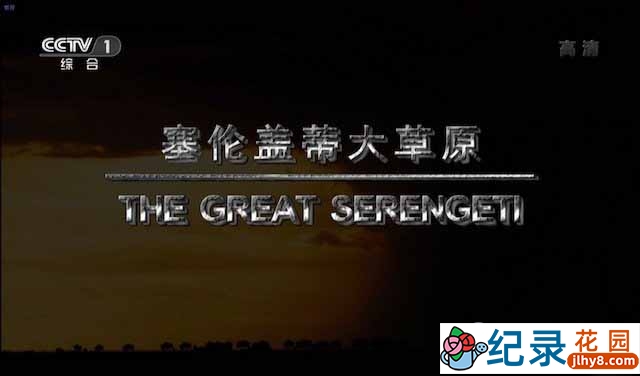 央视自然生态纪录片《塞伦盖蒂大草原 The Great Serengeti》全1集 720P/1080i高清纪录片资源百度云盘下载