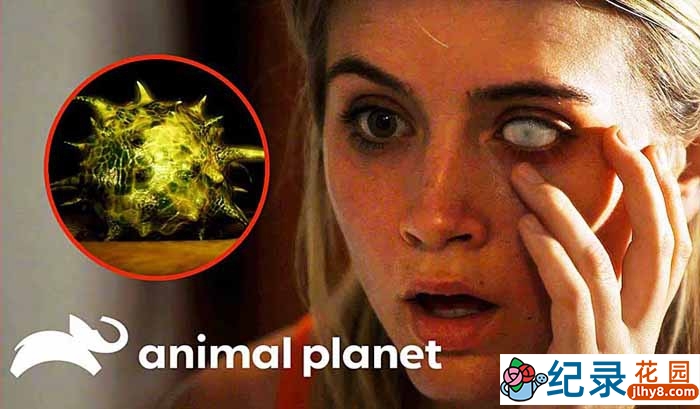 人体微生物研究纪录片《体内的怪物 Monsters Inside Me》第5-8季中字 1080P高清自媒体解说素材百度云盘下载