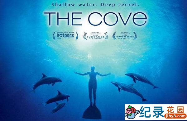 海洋动物保护纪录片《海豚湾 The Cove》全1集 720P/1080i高清纪录片百度云