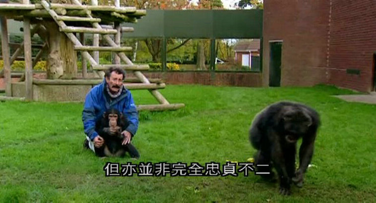 人类本能 Human Instinct