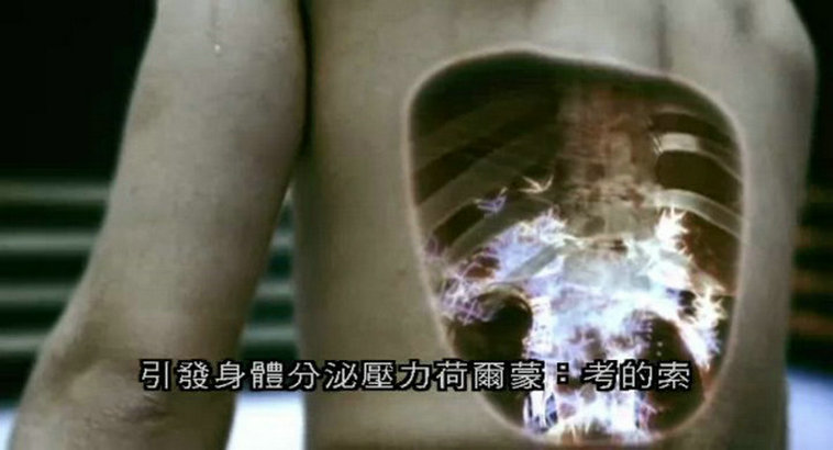 人类本能 Human Instinct