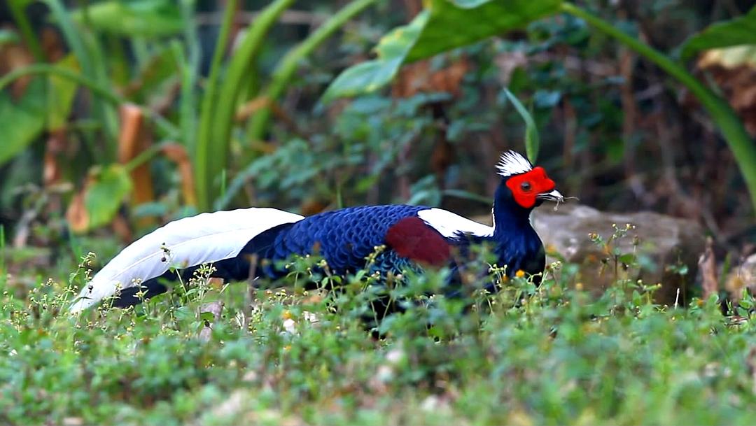 山海台湾 山海台灣
