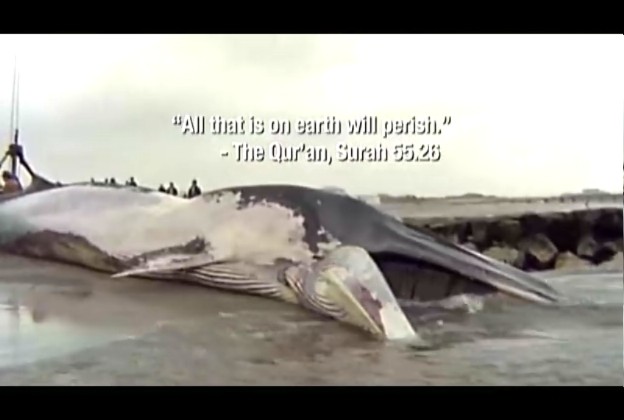 宗教的荒谬 Religulous