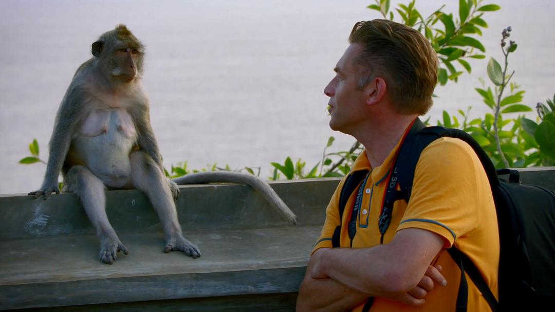 世界上最狡猾的动物 World's Sneakiest Animals