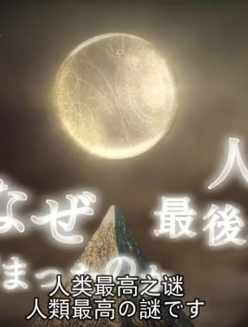 上帝公式 神の数式