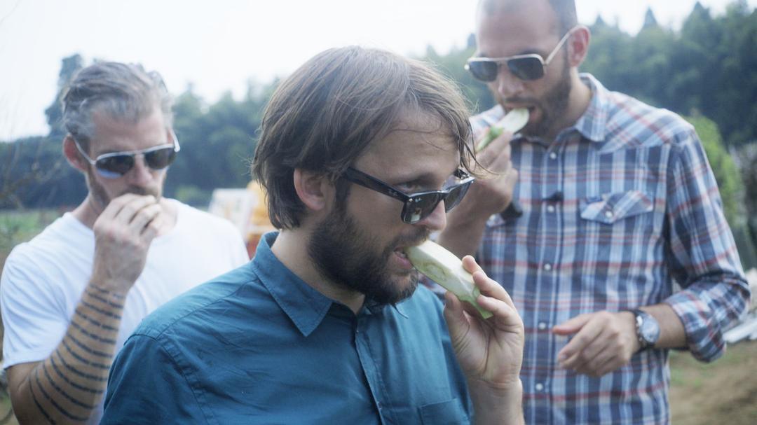 虾上蚂蚁 Ants on a Shrimp