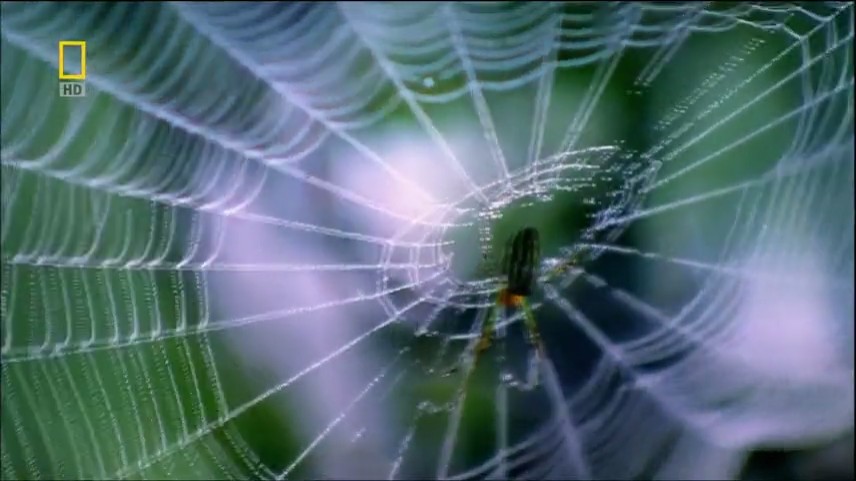 达尔文的演化远征 Darwin's Lost Voyage