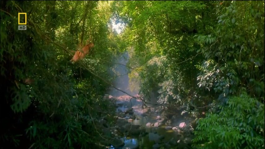 达尔文的演化远征 Darwin's Lost Voyage