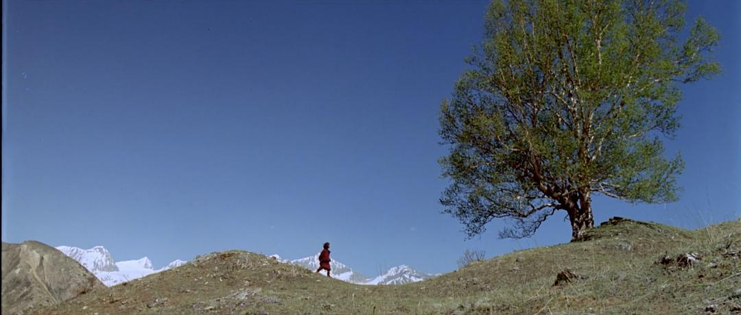 喜马拉雅 Himalaya – l'enfance d'un chef