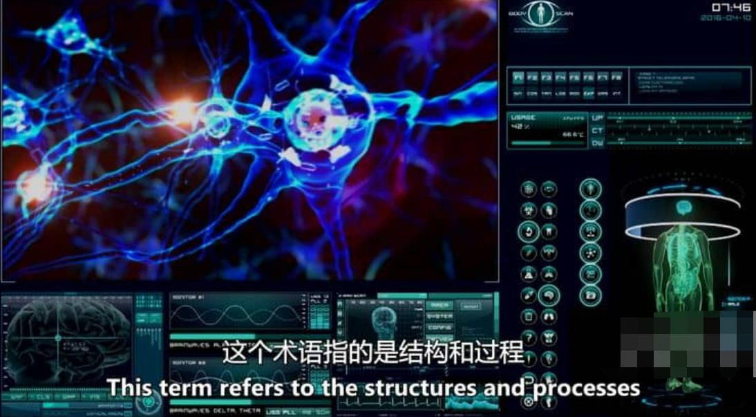 维杰兰·托米奇：巴黎蜘蛛人大盗 Vjeran Tomic: The Spider-Man of Paris