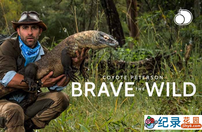 野生动物研究纪录片《野地大胆王 Brave the Wild》全12集中字引进版 720P/1080i高清纪录片资源百度云盘下载