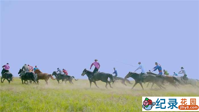 央视人文旅行纪录片《跟着书本去旅行 行走在草原》全5集 TS/蓝光高清纪录片资源百度云盘下载