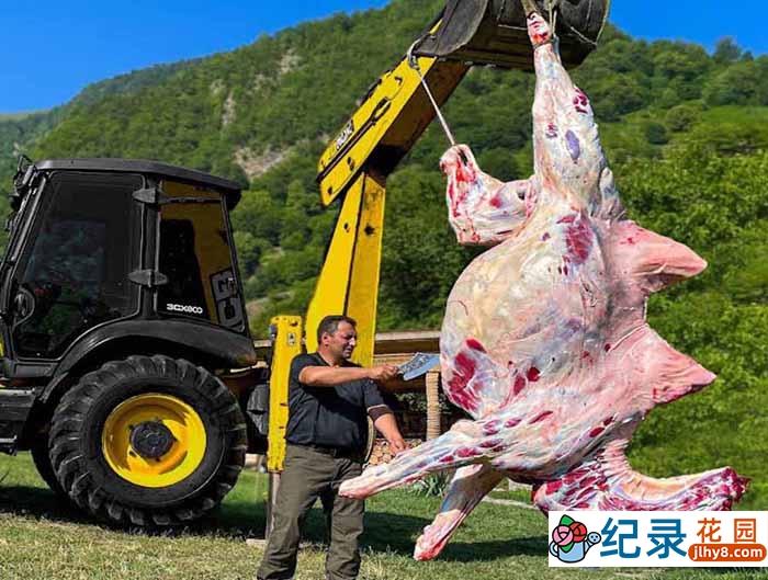 荒野美食纪录片《野生厨神》第1季原版无字 1080P高清自媒体解说素材百度云盘下载