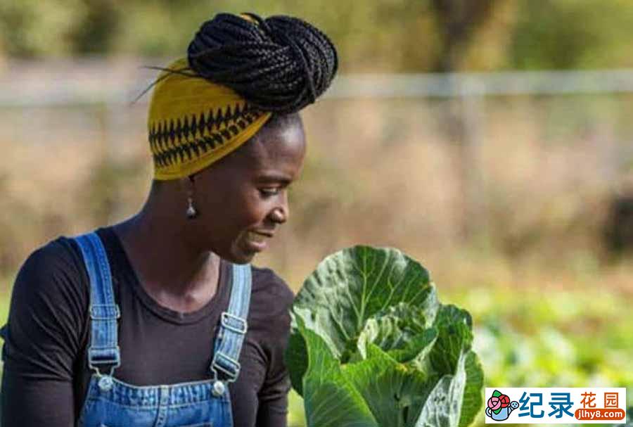 其他自然风光纪录片《自家种植 第一季 / Homegrown season 1》-纪录片资源1080P/720P/360P高清标清网盘迅雷下载