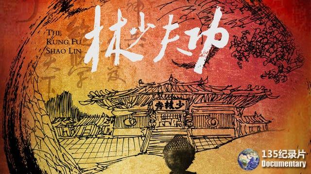 CCTV央视武术纪录片《功夫少林 The Kung Fu Shao Lin》全5集 720P/1080i高清纪录片百度云