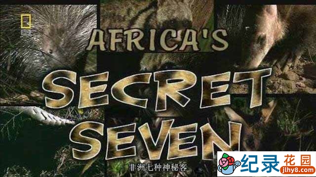 国家地理野生动物纪录片《非洲七种神秘客 Africa’s Secret Seven》全1集 720P/1080i高清纪录片资源百度云盘下载