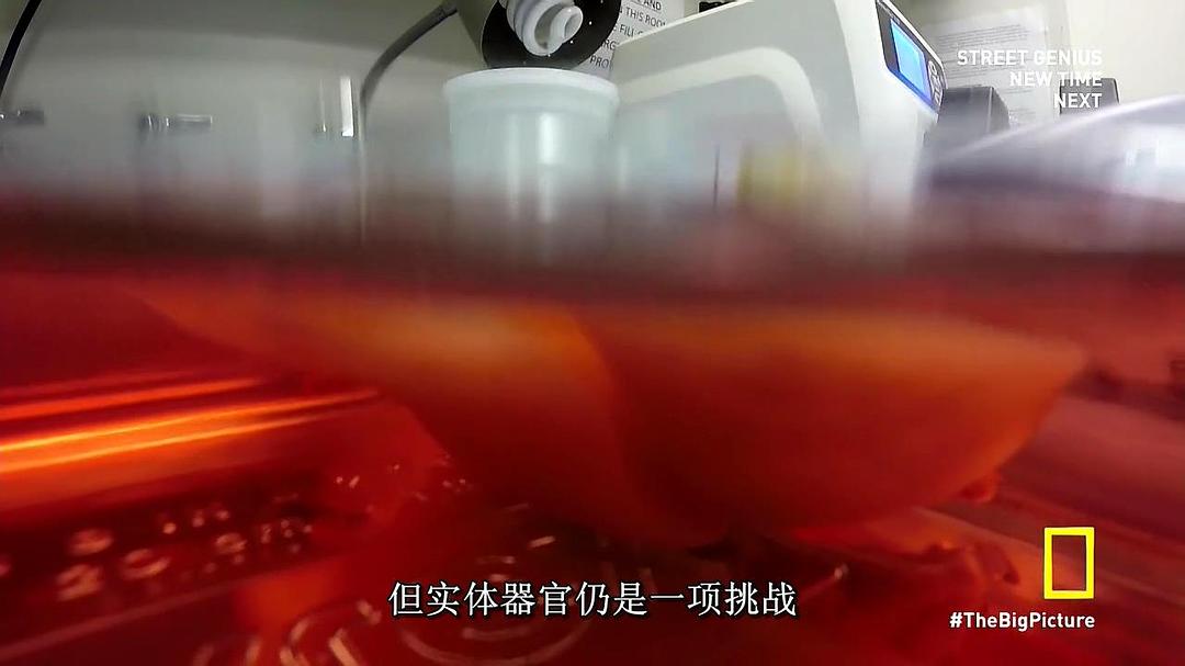 地圖大數據 The Big Picture with Kal Penn