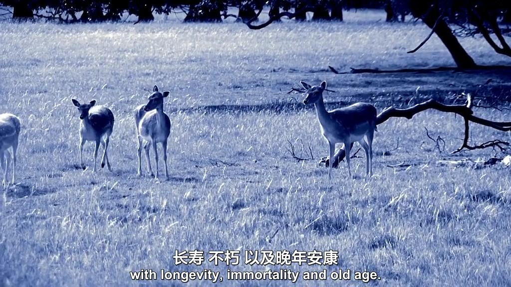 BBC.中国瓷器瑰宝 Treasures of Chinese Porcelain