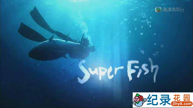 KBS美食文化纪录片《大鱼奇谭 Superfish》全4集 720P/1080i高清纪录片百度云下载