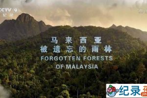 央视自然生态纪录片《马来西亚被遗忘的雨林 Forgotten Forests of Malaysia》全1集 TS/蓝光高清纪录片资源百度云盘下载