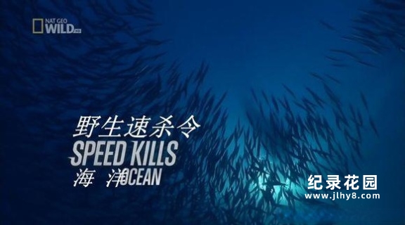 国家地理纪录片《极速猎杀/野生速杀令 Speed Kills》全2季 720P/1080i高清纪录片资源百度云盘下载