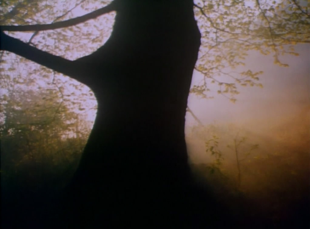 X射线 Prześwietlenie