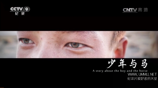 少年与马 A Story About The Boy And The Horse