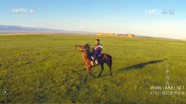 少年与马 A Story About The Boy And The Horse