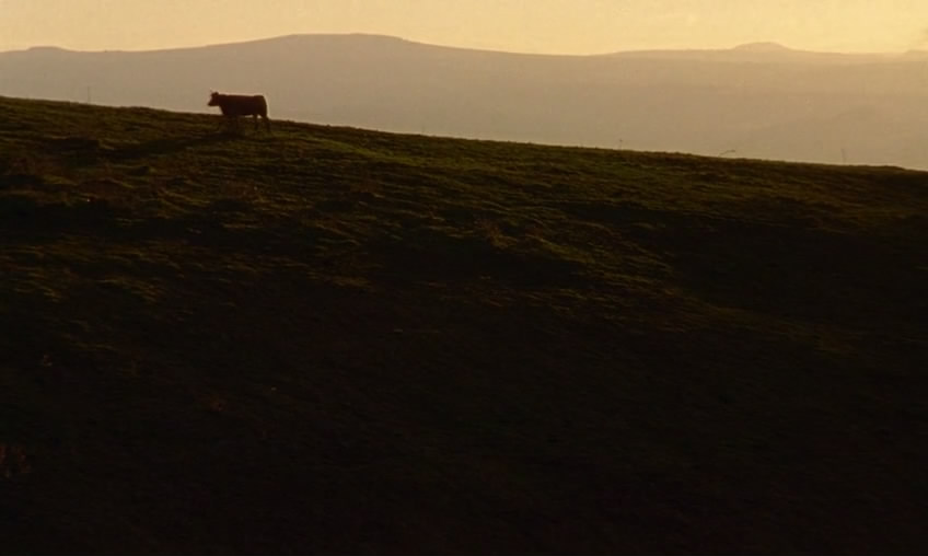 山村犹有读书声 Être et avoir