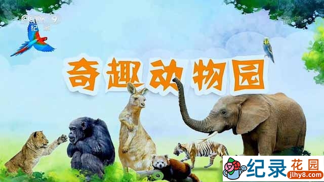央视动物行为研究纪录片《奇趣动物园》全6集 TS/蓝光高清纪录片资源百度云盘下载