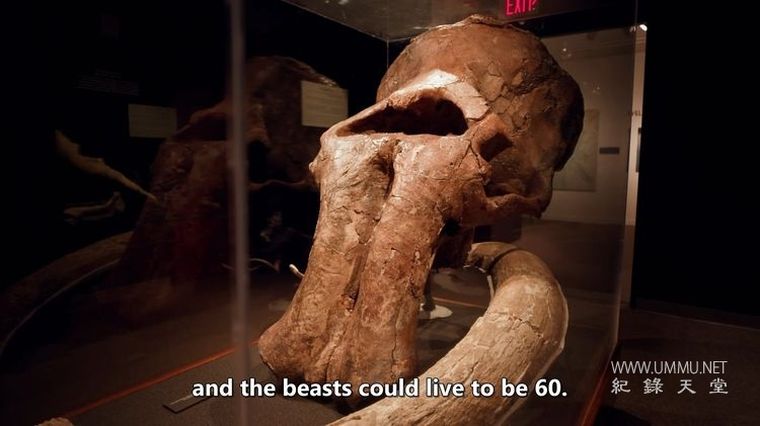 古代黄石公园  第二季全3集Ancient Yellowstone