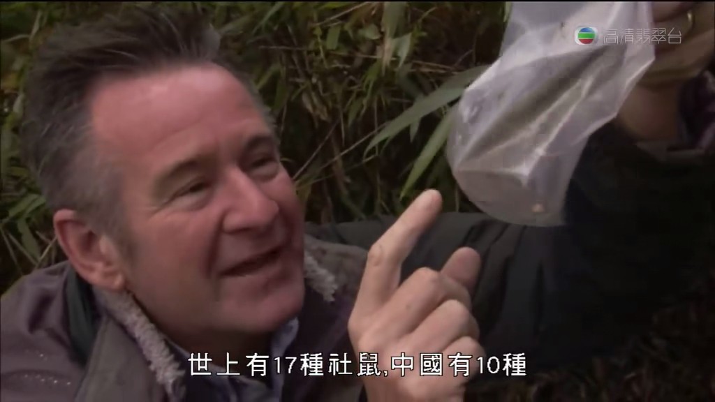 马文与中国大熊猫 Panda Adventure with Nigel Marven