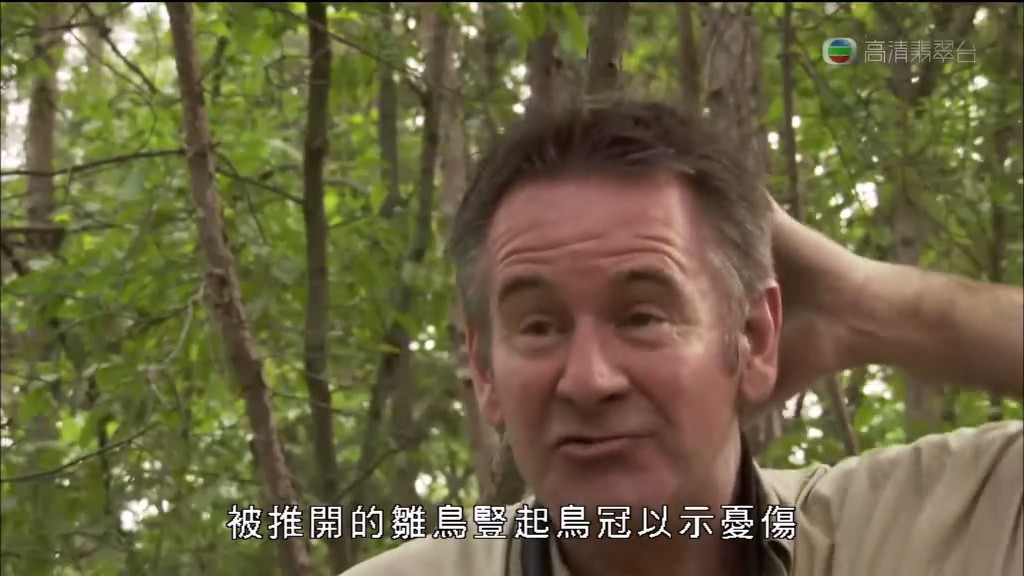 马文与中国大熊猫 Panda Adventure with Nigel Marven