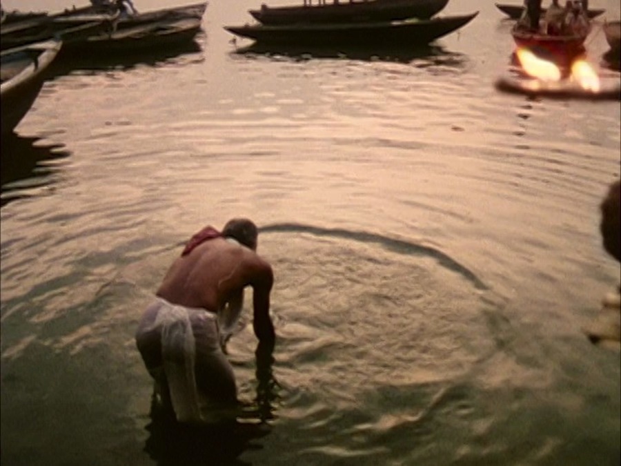 极乐森林 Forest of Bliss