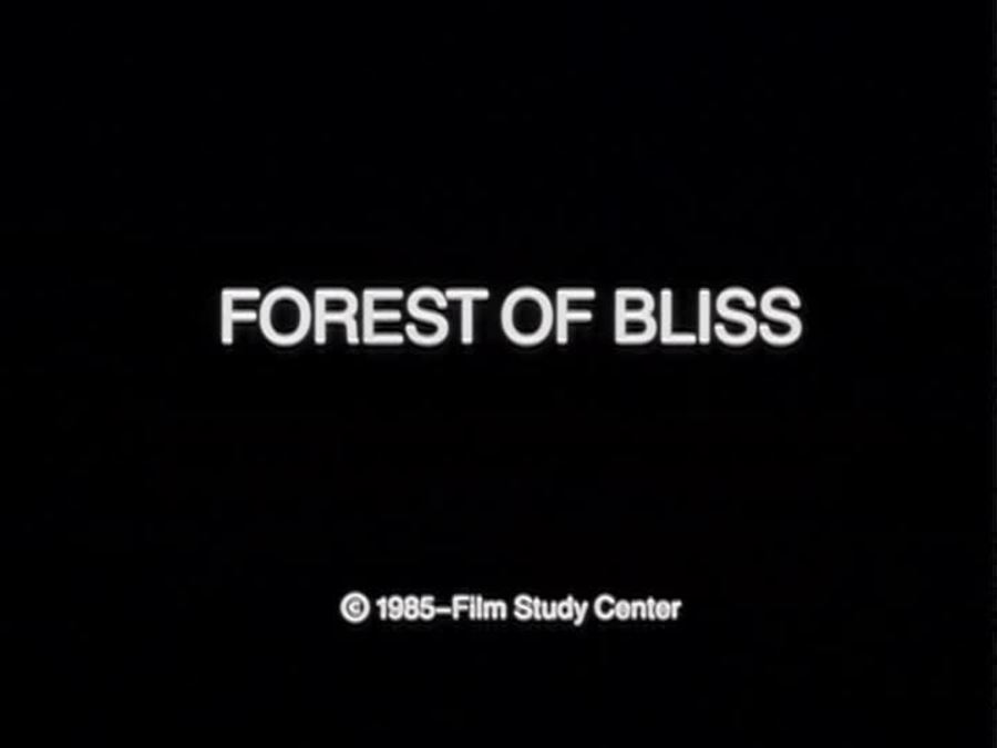 极乐森林 Forest of Bliss