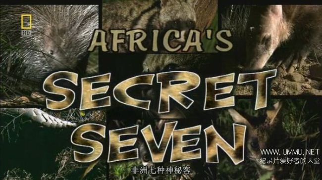 非洲七霸/非洲七神兽/非洲七种神秘客 Africas Secret Seven