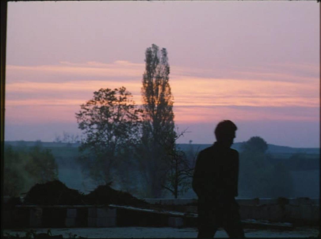 蓝色星球 Il Pianeta Azzurro