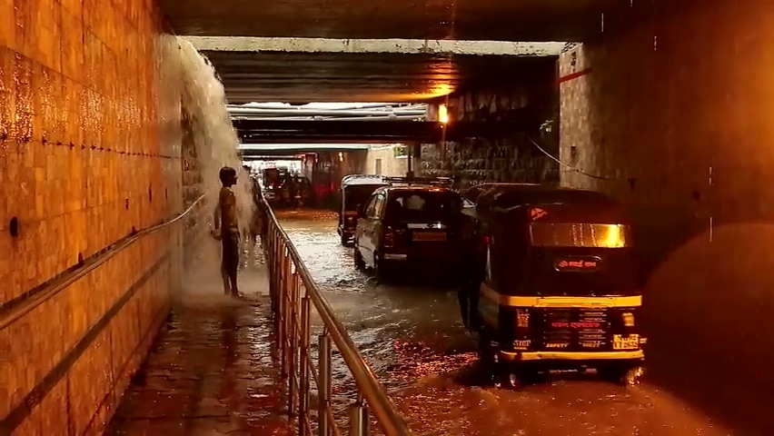 桑妮·黎翁 Mostly Sunny