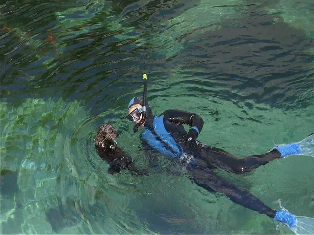 生命海洋 The Living Sea