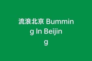 流浪北京 Bumming In Beijing