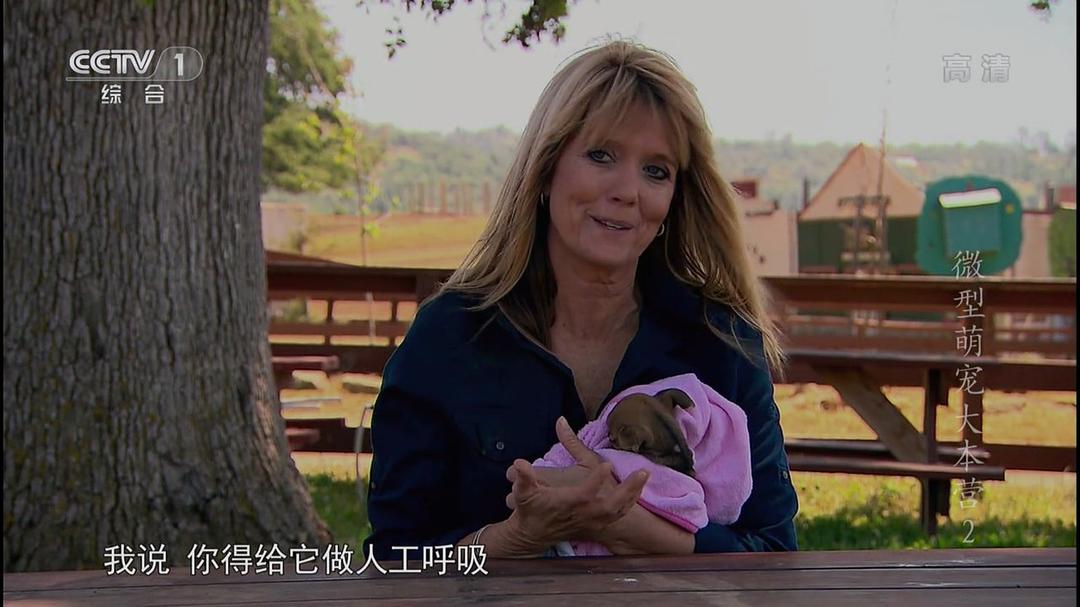 微型萌宠大本营 Super Tiny Animals