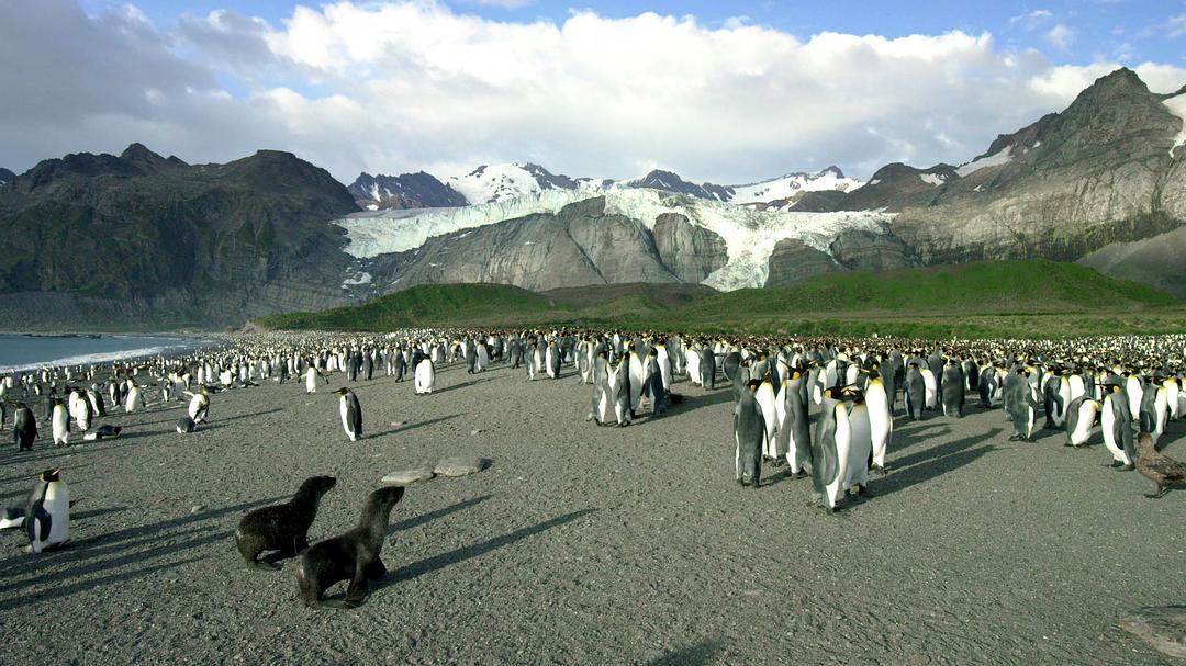 光影传说 第一季 Tales by Light Season 1