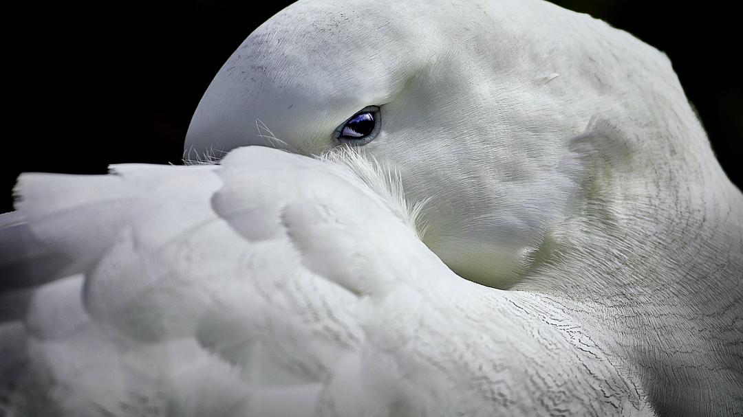 光影传说 第一季 Tales by Light Season 1