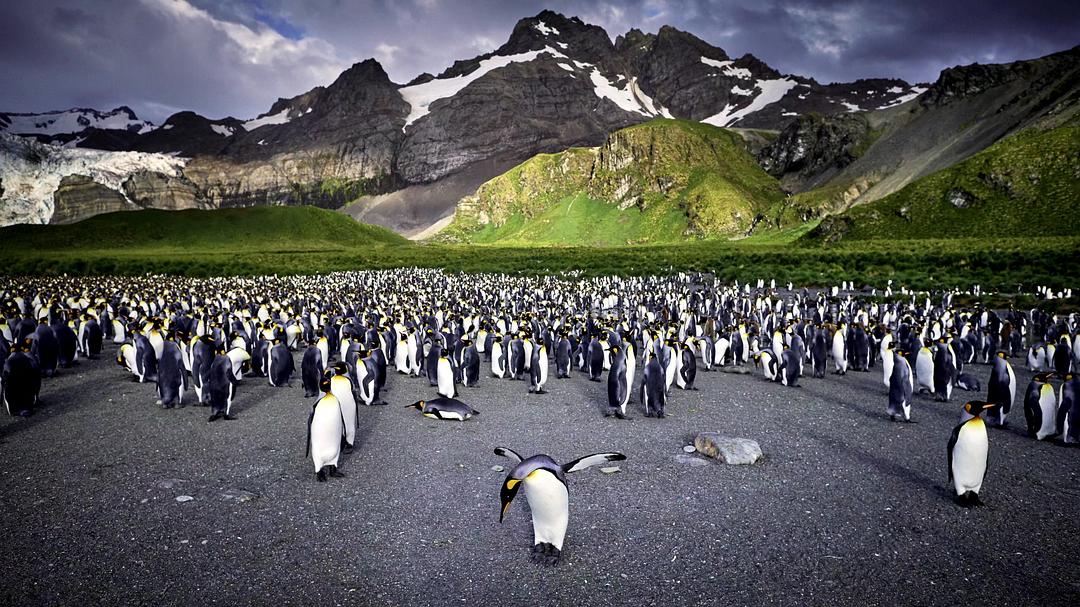 光影传说 第一季 Tales by Light Season 1