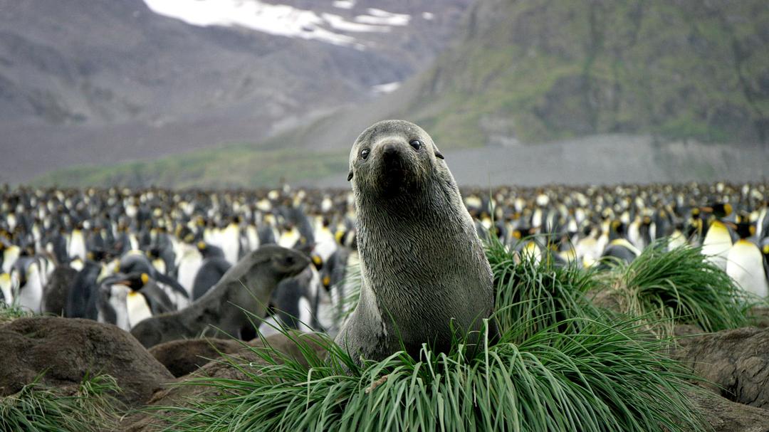 光影传说 第一季 Tales by Light Season 1