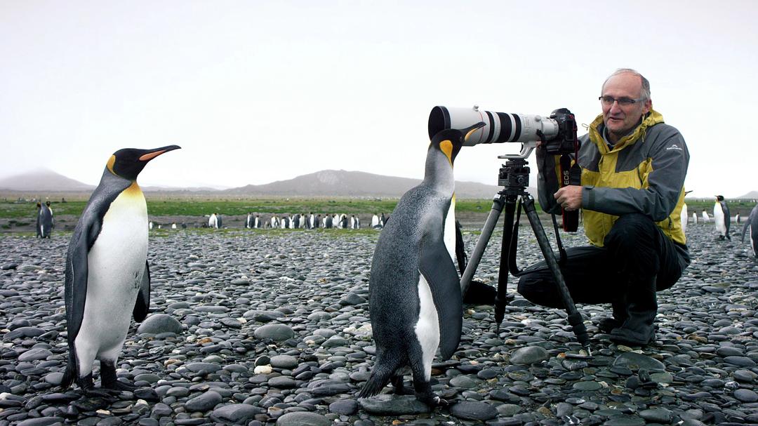 光影传说 第一季 Tales by Light Season 1