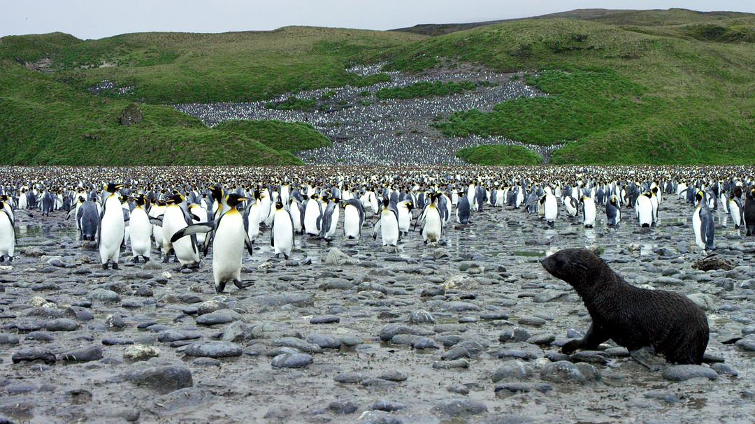 光影传说 第一季 Tales by Light Season 1