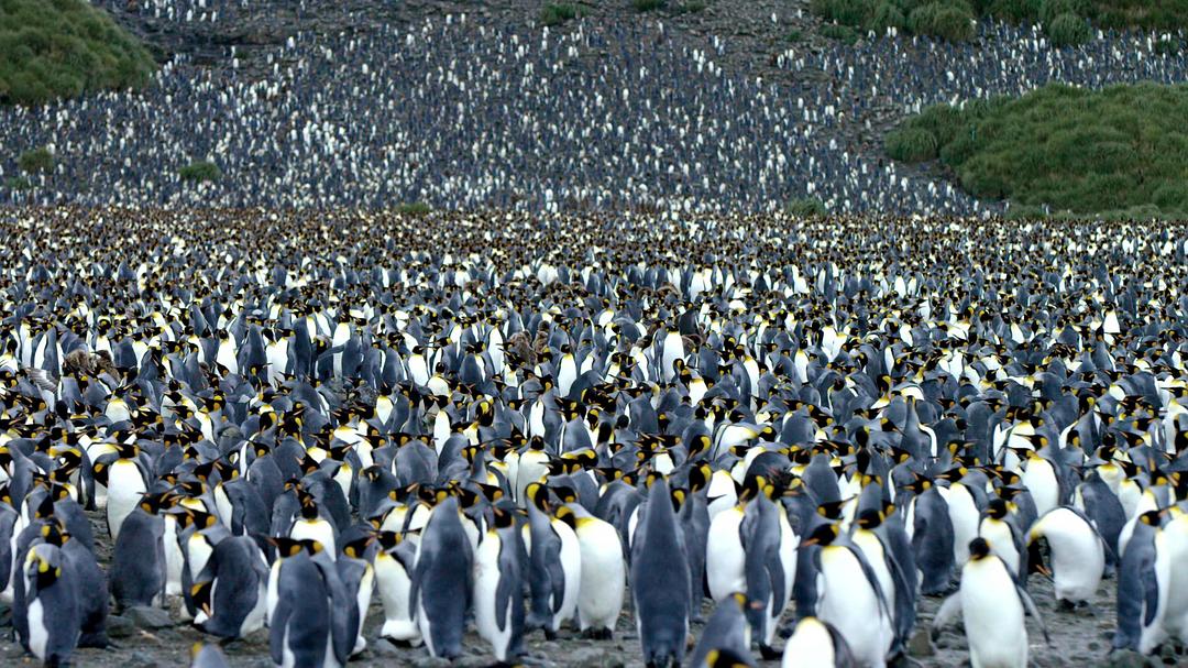 光影传说 第一季 Tales by Light Season 1