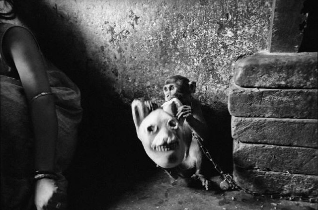 小小摄影师的异想世界 Born Into Brothels: Calcutta's Red Light Kids