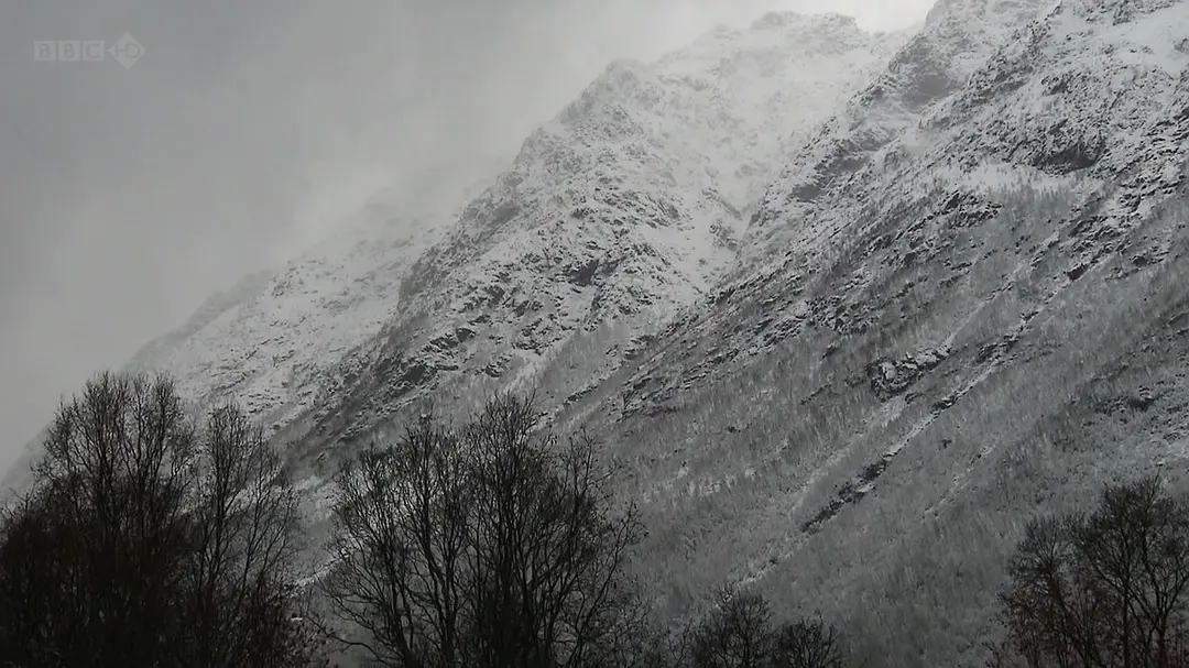 与布鲁斯·帕里游北极 Arctic with Bruce Parry
